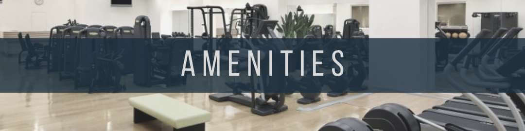 Antel Grand Village Amenities
